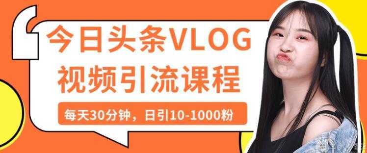 图片[1]-今日头条VLOG视频引流技术，每天30分钟，日引10-1000粉-课程网