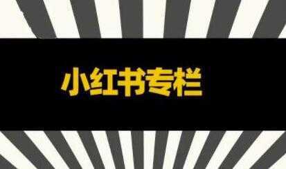 图片[1]-品牌医生《小红书全链营销干货》5个起盘案例，营销策略规划，避坑指南-课程网