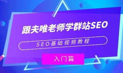图片[1]-夫唯《群站seo优化教程视频》SEO基础视频教程-课程网