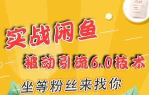 闲鱼被动引流技术6.0，坐等粉丝来找你，实战培训课程视频-课程网