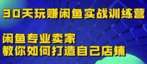 《30天玩赚闲鱼实战训练营》闲鱼专业卖家教你如何打造自己店铺-课程网