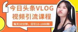 今日头条VLOG视频引流技术,每天30分钟,日引10-1000粉-课程网