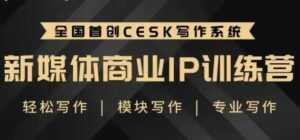 自媒体运营培训课程,新媒体商业IP训练营,轻松写作赚钱-课程网