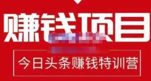 懒人领域《今日头条中视频项目玩法》单号收益在50—500可批量-课程网