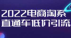 电商淘系《直通车低价引流》视频教程-课程网