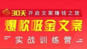 安顿文案写作《爆款吸金文案》实战训练营,30天开启文案赚钱之旅-课程网