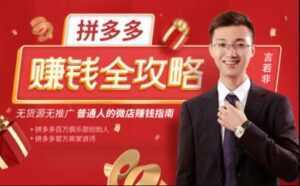 言若非《拼多多赚钱全攻略》培训课程,带你玩赚拼多多,每月多赚3万块-课程网