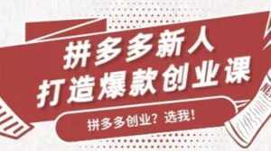 拼多多新人打造爆款创业课程,快速引流持续出单-课程网