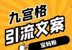 九宫格文案引流教程,手把手教你快手引流精准宝妈粉-课程网