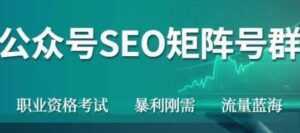 高鹏圈《公众号SEO矩阵号群项目》实操20天纯收益25000+，普通人都能做-课程网