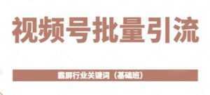 《视频号批量引流》霸屏行业关键词玩法(基础班)-课程网