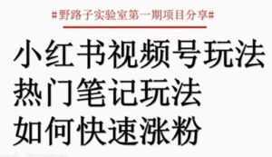 小红书视频号项目，直接上手操作，月入过万-课程网