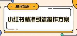 小红书精准引流操作方案,能够直接落地实操引流技术-课程网