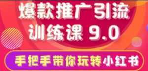 小红书怎么推广，小红书爆款推广引流训练课9.0，带你一部手机即可月赚万元-课程网