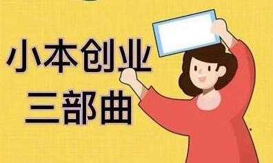 老严《小本创业三部曲》线下创业项目,不讲废话,都是核心干货内容-课程网