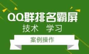 QQ群排名引流技术教程视频,1个群被动收益1000元-课程网
