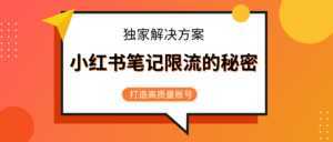 小红书笔记限流的秘密,被限流的笔记独家解决方案,打造高质量账号(共3节视频)-课程网