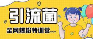 引流菌2020全网爆粉特训营(QQ群霸屏,知乎引流,群裂变,自动化引流等)-课程网