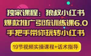 狼叔小红书爆款推广引流训练课6.0,手把手带你玩转小红书-课程网
