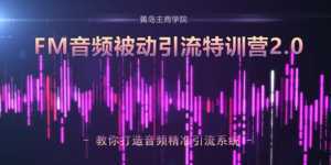 黄岛主·FM音频引流特训营2.0:独家引流模式,单账号50W+播放量,轻松变现-课程网