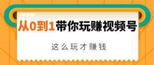 从0到1带你玩赚视频号:这么玩才赚钱,日引流500+日收入1000+核心玩法-课程网