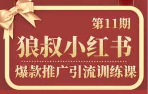 狼叔小红书爆款推广引流训练课第11期,手把手带你玩转小红书-课程网