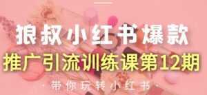 狼叔小红书爆款推广引流训练课第12期,手把手带你玩转小红书-课程网