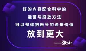 张sir账号流量增长课,告别海王流量,让你的流量更精准-课程网