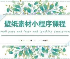 闪闪壁纸号运营教程，抓住图文风口，快速吸粉变现-课程网