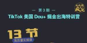 TikTok美国Dou+掘金出海特训营,美国dou+成功投放95%-课程网