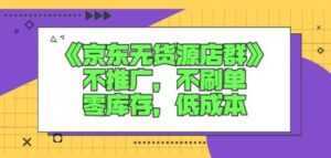 诺思星商学院京东无货源店群课：不推广，不刷单，零库存，低成本-课程网