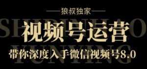 狼叔独家:视频号8.0运营实战课价值1280元-课程网