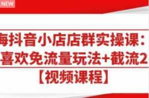 大海抖音小店店群实操课:猜你喜欢免流量玩法+截流 2.0-课程网