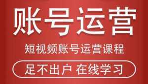 短视频账号运营课程:从话术到短视频运营再到直播带货全流程,新人快速入门-课程网