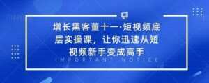 增长黑客董十一·短视频底层实操课,从短视频新手变成高手-课程网