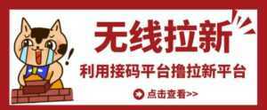 最新接码无限拉新项目,利用接码平台赚拉新平台差价,轻松日赚500+-课程网