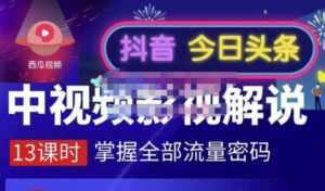 嚴如意·中视频影视解说—掌握流量密码,自媒体运营创收,批量运营账号-课程网