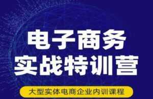 民赛电气内部出品:电子商务实战特训营,全方位带你入门电商,308种方式玩转电商-课程网