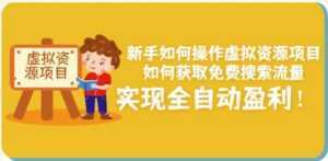 新手如何操作虚拟资源项目:如何获取免费搜索流量,实现全自动盈利!-课程网