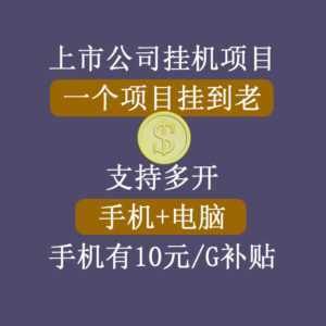 正规挂机项目，支持手机电脑一起挂，支持虚拟机多开，可以挂到老-课程网