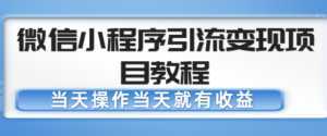 微信小程序引流变现项目教程,当天操作当天就有收益,变现不再是难事-课程网