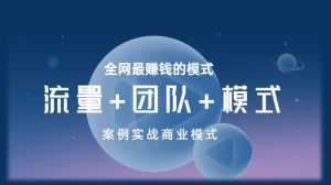 王冲老师《流量+团队+模式》商业模式实战课,全网最赚钱的模式-课程网