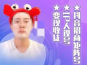 抖音招商矩阵号+IP人设号+变现收徒,教你如何做抖音,通过抖音如何变现-课程网
