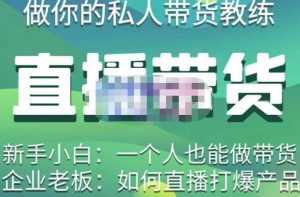 硬核传媒·直播带货(私人教练),实操实战教学,通俗易懂,学完后新手小白一个人也能做带货-课程网