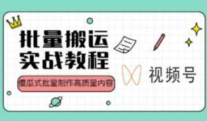 视频号批量搬运实战操作运营赚钱教程,傻瓜式批量制作高质量内容【附视频教程+PPT】-课程网