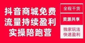 抖音商城搜索持续盈利陪跑成长营,抖音商城搜索从0-1、从1到10的全面解决方案-课程网