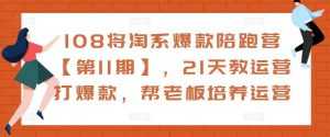 108将淘系爆款陪跑营【第11期】,21天教运营打爆款,帮老板培养运营-课程网