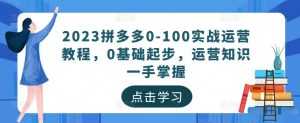 2023拼多多0-100实战运营教程,0基础起步,运营知识一手掌握-课程网