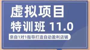 陆明明·虚拟项目特训班（10.0+11.0），0成本获取虚拟素材，0基础打造自动盈利店铺-课程网