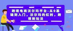 跨境电商沃尔玛平台-从0基础到入门,沃尔玛的红利,跨境新玩法-课程网